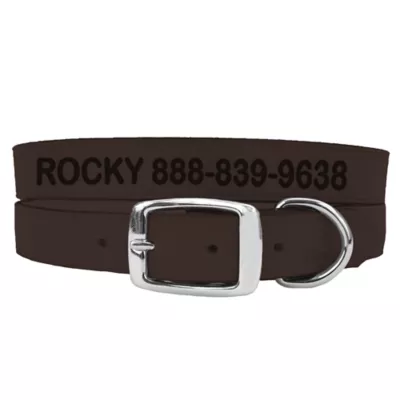 Coastal Pet Products Personalized Leather Dog Collar - Image 1