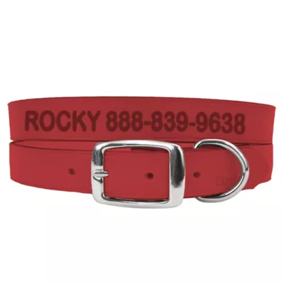 Coastal Pet Products Personalized Leather Dog Collar - Image 1