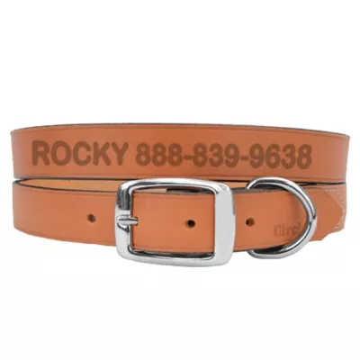 Coastal Pet Products Personalized Leather Dog Collar - Image 1