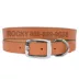 Coastal Pet Products Personalized Leather Dog Collar image thumbnail 1
