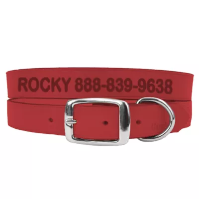 Coastal Pet Products Personalized Leather Dog Collar - Image 1