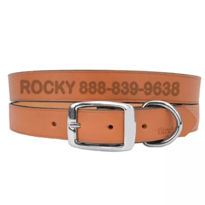 Product Coastal Pet Products Personalized Leather Dog Collar