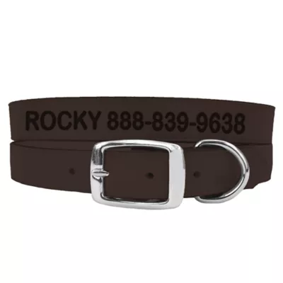 Coastal Pet Products Personalized Leather Dog Collar - Image 1