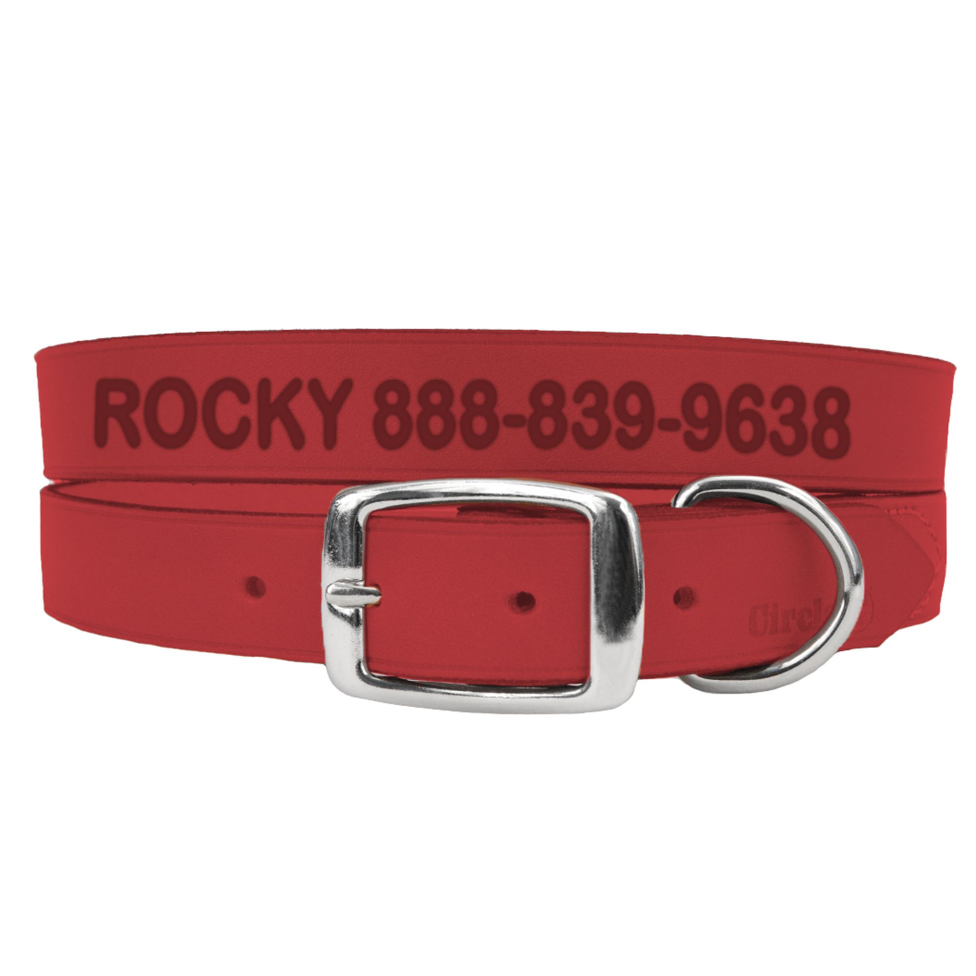 Holiday dog outlet collars petsmart