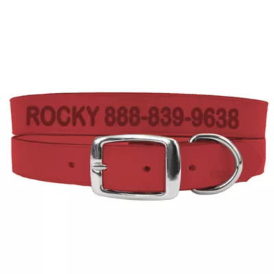 Coastal Pet Products Personalized Leather Dog Collar - Image 1