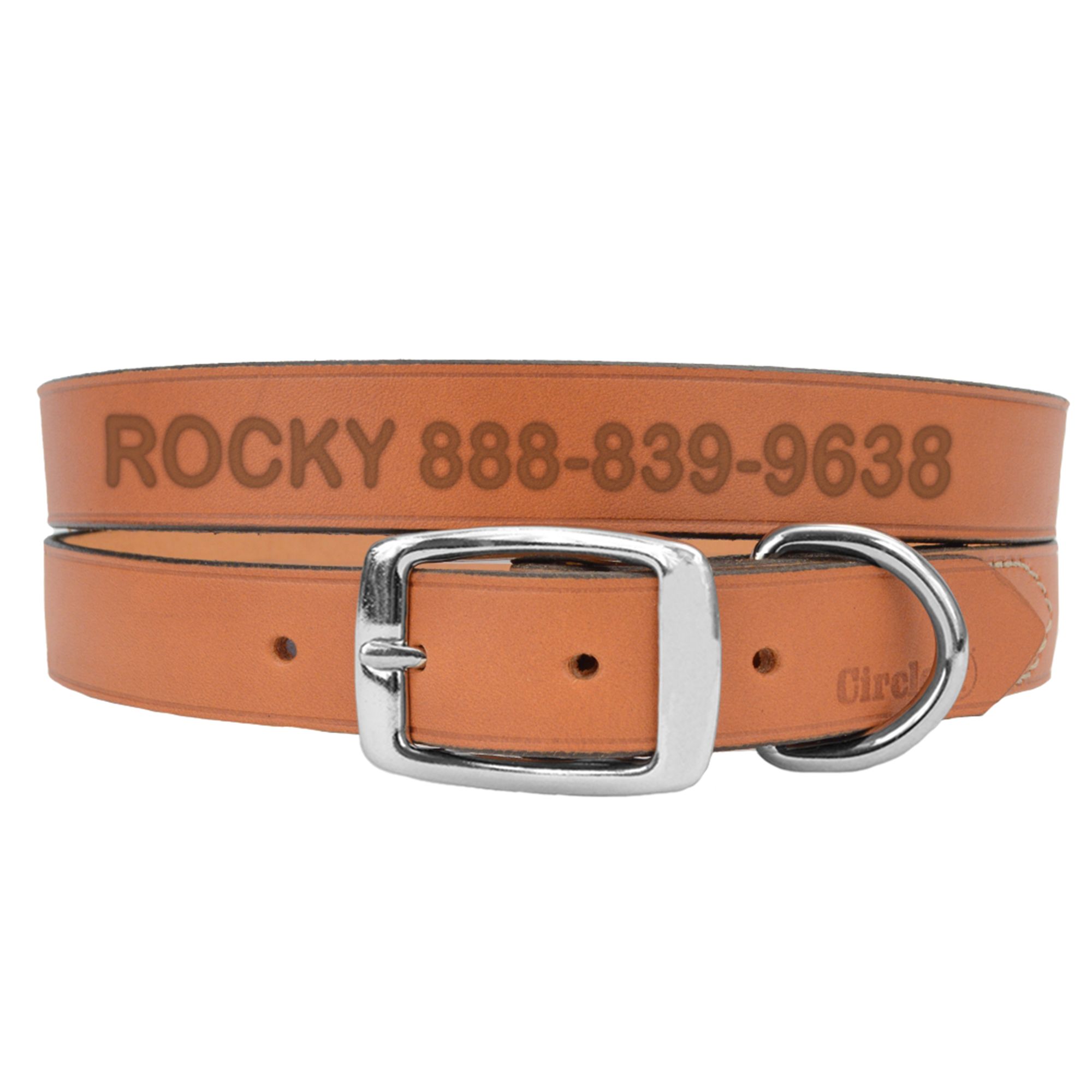 Personalized dog collars petsmart best sale