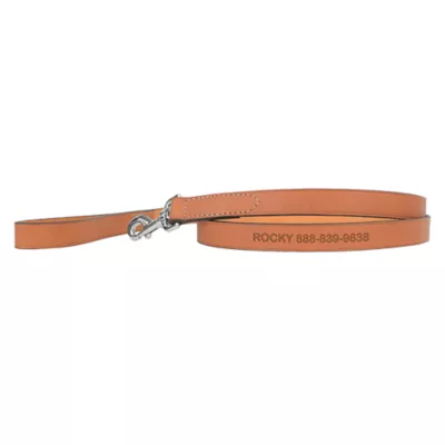 Product Coastal Pet Products Personalized Leather Dog Leash
