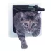 Perfect Pet 4 Way Cat Flap image thumbnail 1