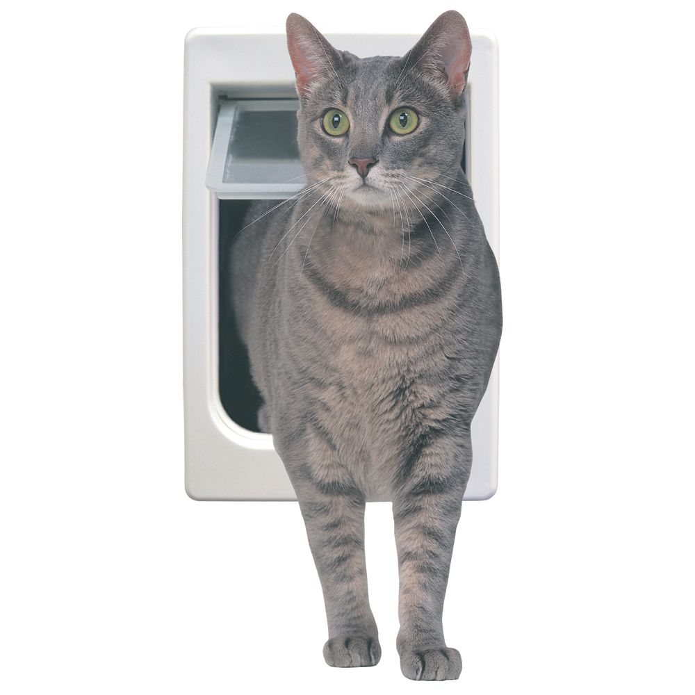 petsmart cat flap