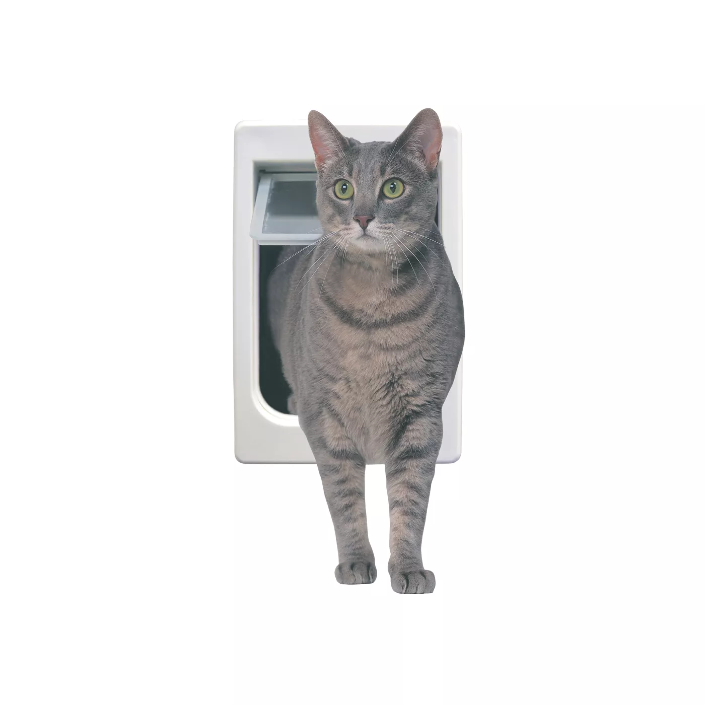 Perfect Pet 4 Way Cat Flap