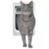 Perfect Pet 4 Way Cat Flap image thumbnail 1