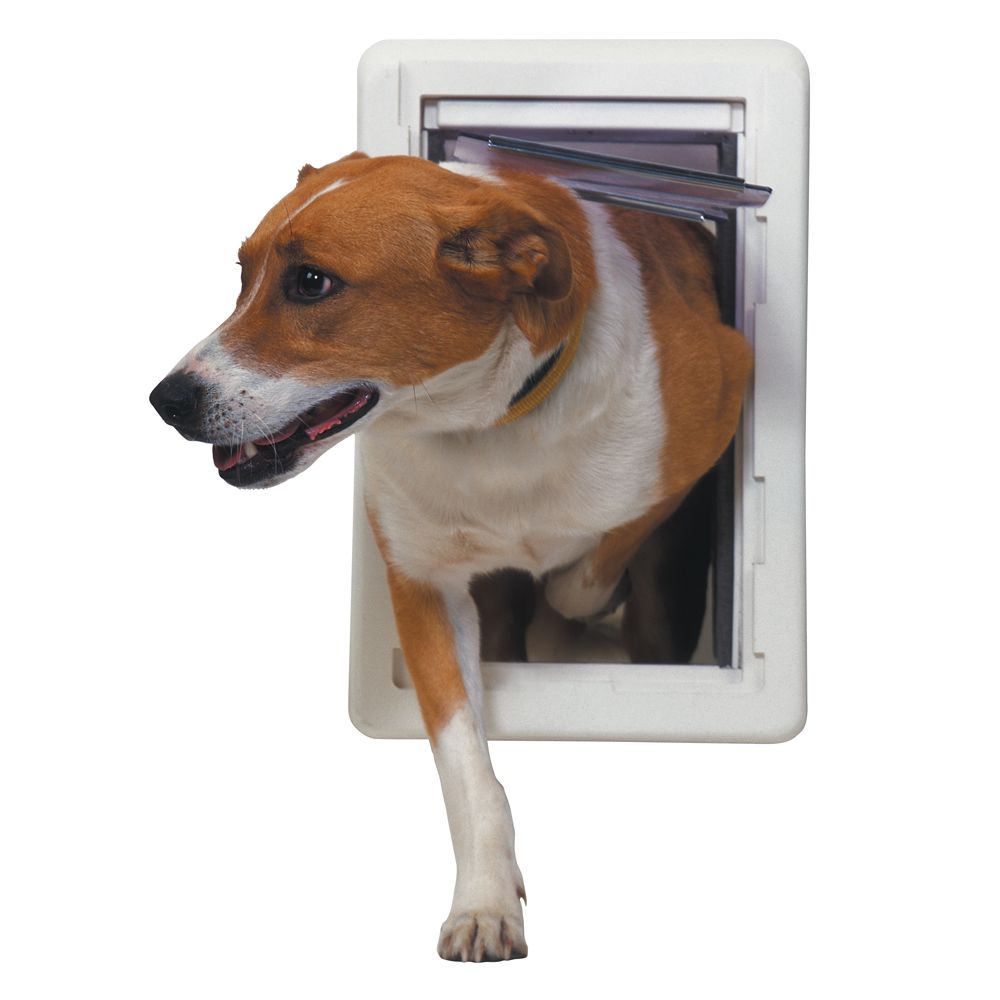 Amazon.com : PetSafe Single Panel Replacement Pet Door Insert with  Paintable Frame Specifically Designed for Panel Doors, Durable Plastic  Frame, Snap-On Closing Panel, For Dogs of all Sizes, Up to 220 lbs :