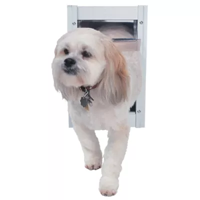 Perfect pet dog door best sale