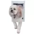 Perfect Pet Door Mount Deluxe Pet Door image thumbnail 1