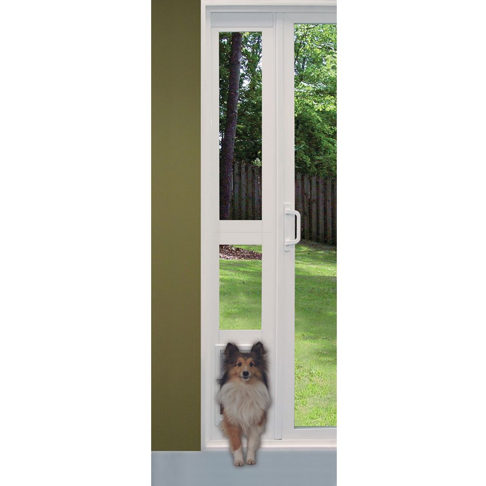dog doors