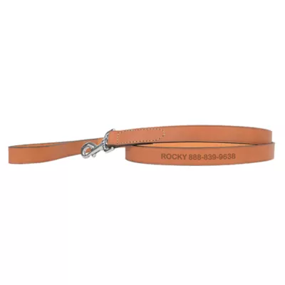 Product Coastal Pet Products Personalized Leather Dog Leash