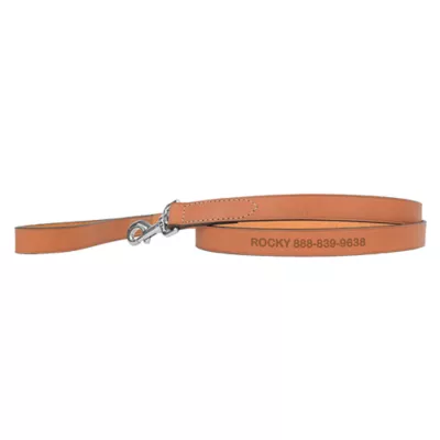 Coastal Pet Products Personalized Leather Dog Leash - Image 1
