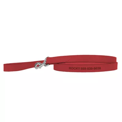 Coastal Pet Products Personalized Leather Dog Leash - Image 1