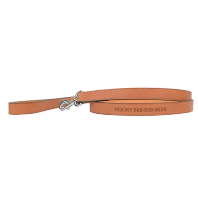 Coastal Pet Products Personalized Leather Dog Leash - Image 1