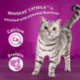 Product Whiskas Catmilk Kitten & Cat Treats