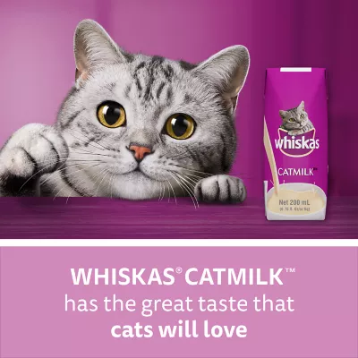 Product Whiskas Catmilk Kitten & Cat Treats