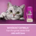 Whiskas Catmilk Kitten & Cat Treats image thumbnail 3