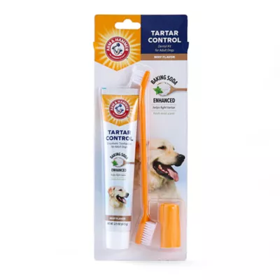 Product Arm & Hammer Tartar Control Dog Dental Kit - Beef