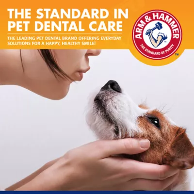 Arm & Hammer Tartar Control Dog Dental Kit - Beef - Image 9