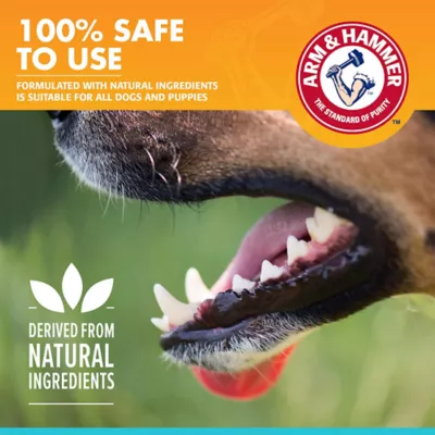 Arm & Hammer Fresh Breath Enzymatic Dog Toothpaste - Chicken - Image 7