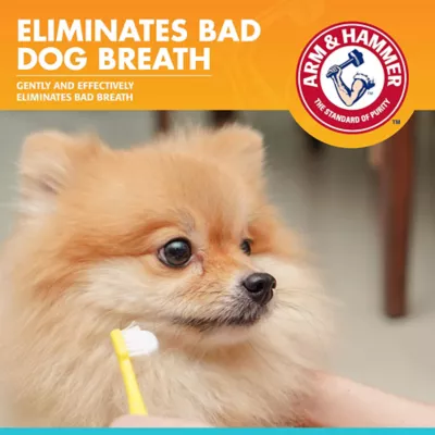 Arm & Hammer Fresh Breath Enzymatic Dog Toothpaste - Chicken - Image 8