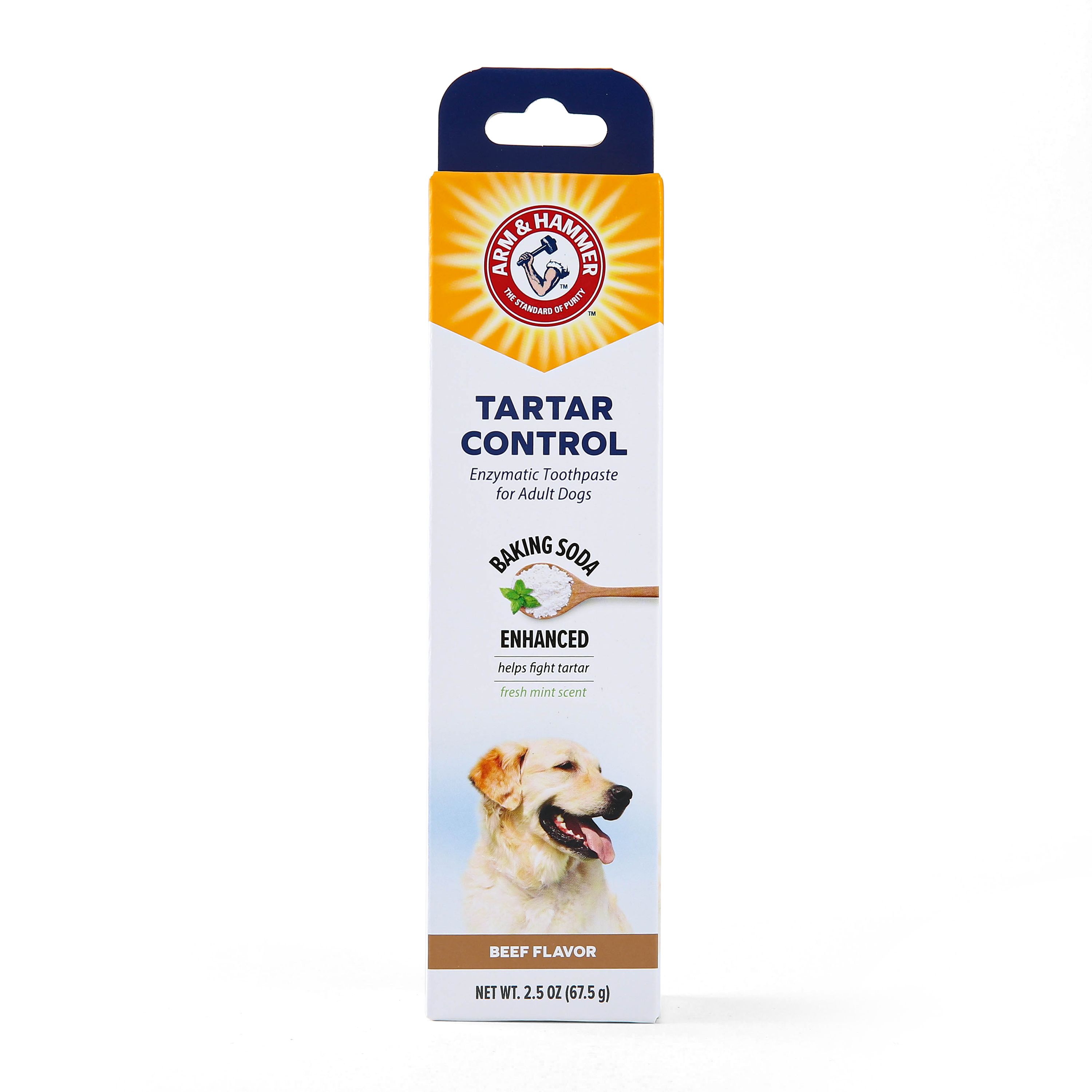 Arm Hammer Tartar Control Enzymatic Dog Toothpaste Beef