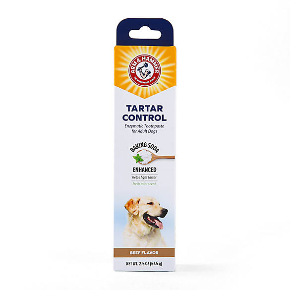 ARM & HAMMER™ Advanced Pet Care Tarter Control Enzymatic Dog Toothpaste