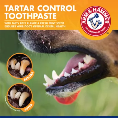 Arm & Hammer Dog Tartar Control Enzymatic Toothpase, Enhanced with Baking Soda - Beef Flavor, 2.5 oz - Image 8