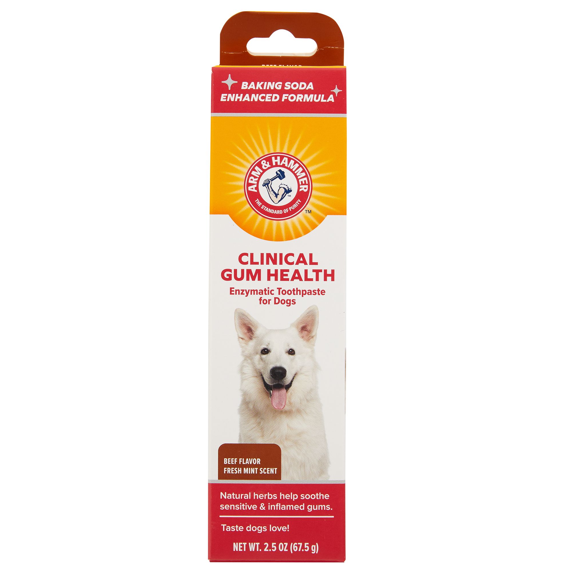 what is a safe toothpaste for dogs