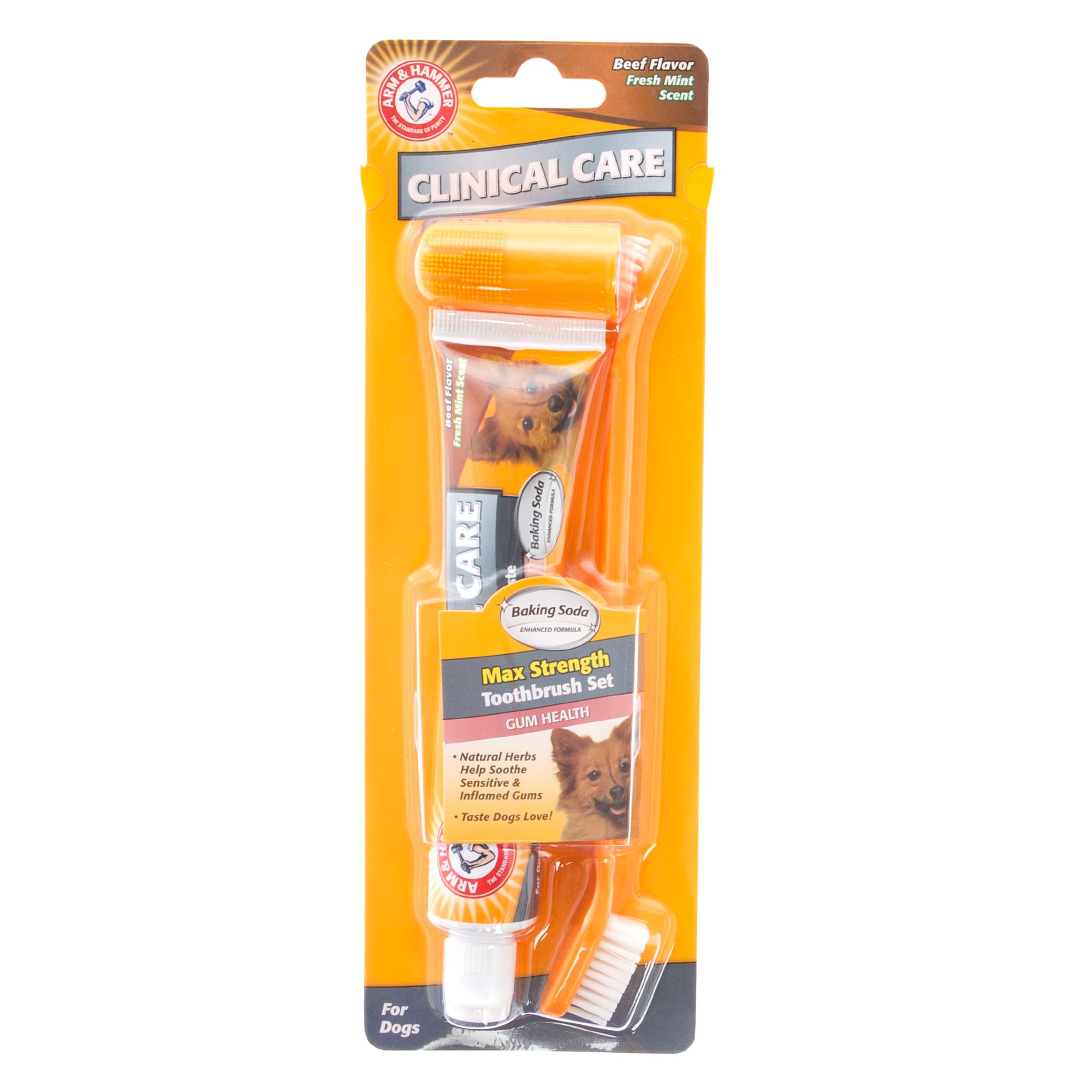 dog toothbrush petsmart