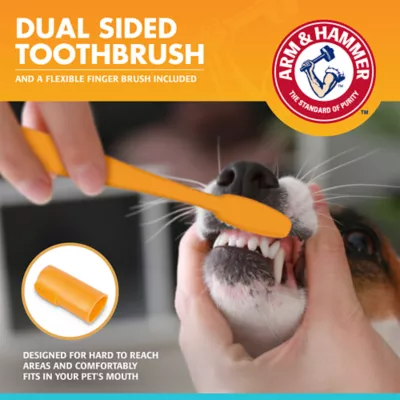 Arm & Hammer Fresh Breath Dog Dental Kit - Chicken - Image 8
