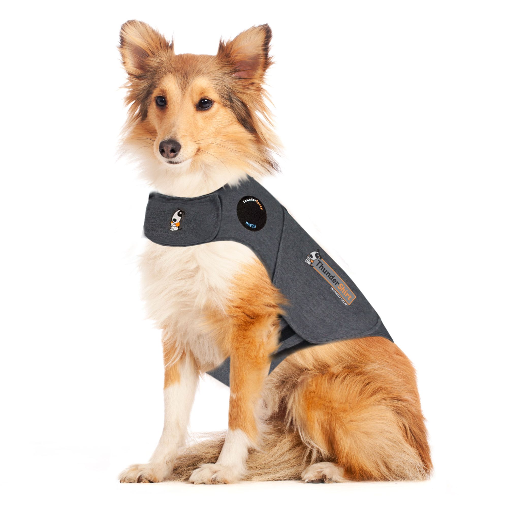 Thundershirt for sales dogs petsmart