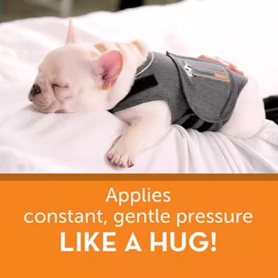 Product ThunderShirt® Insanely Calm™ Dog Anxiety Shirt
