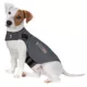 Product ThunderShirt® Insanely Calm™ Dog Anxiety Shirt