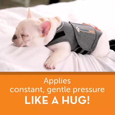 Product ThunderShirt® Insanely Calm™ Dog Anxiety Shirt