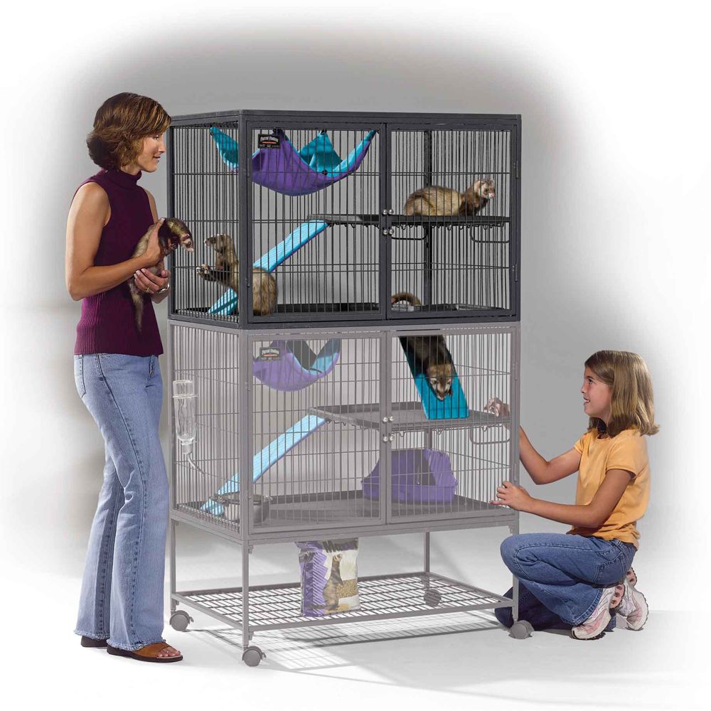 petsmart ferret cage