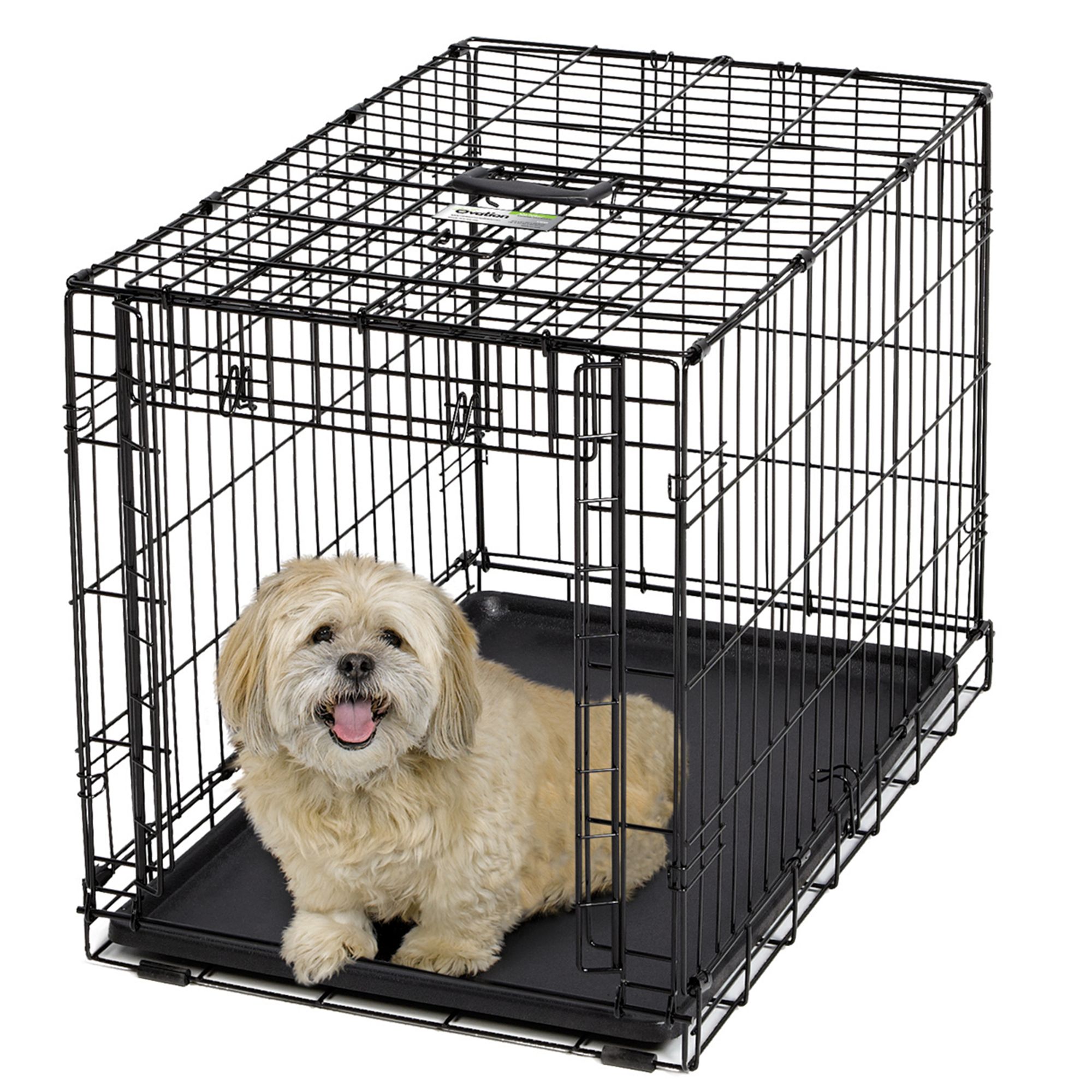 midwest ovation dog crate