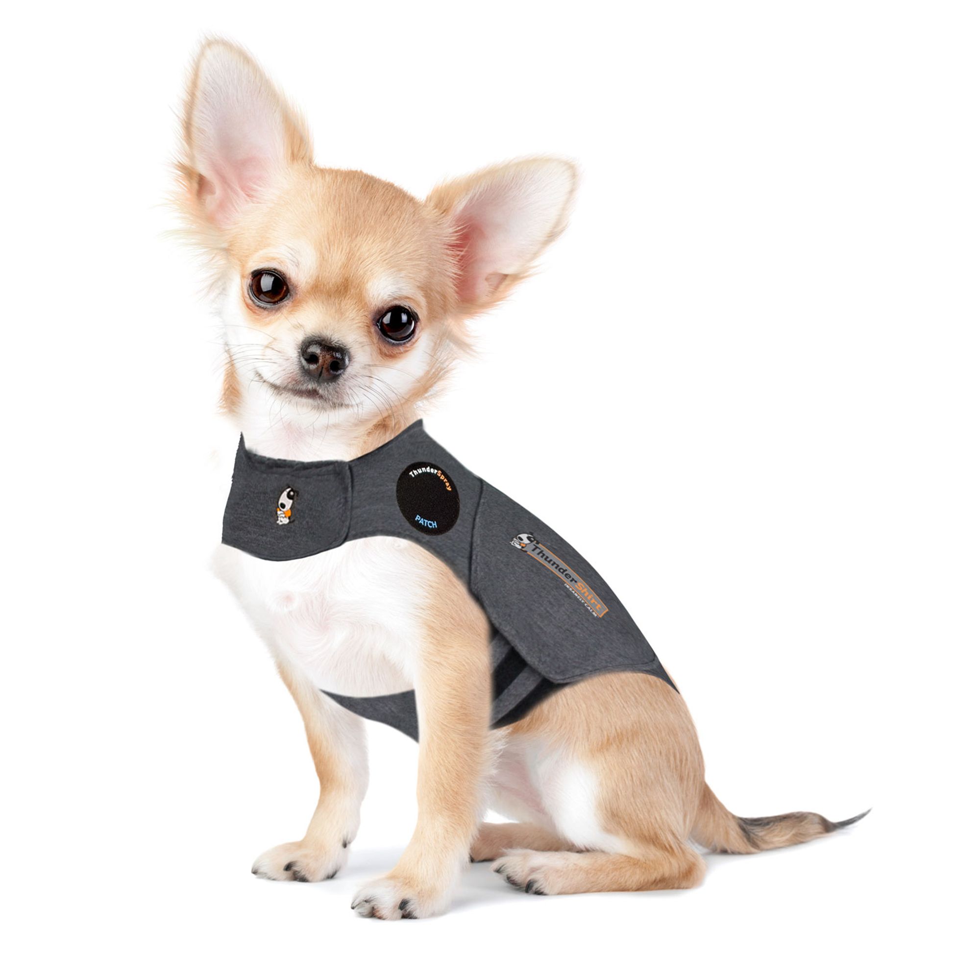 Petco store thunder jacket