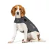 ThunderShirt® Insanely Calm™ Dog Anxiety Shirt image thumbnail 1