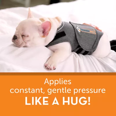 Product ThunderShirt® Insanely Calm™ Dog Anxiety Shirt