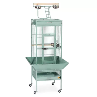 Product Prevue Pet Products Wrought Iron Select Bird Cage