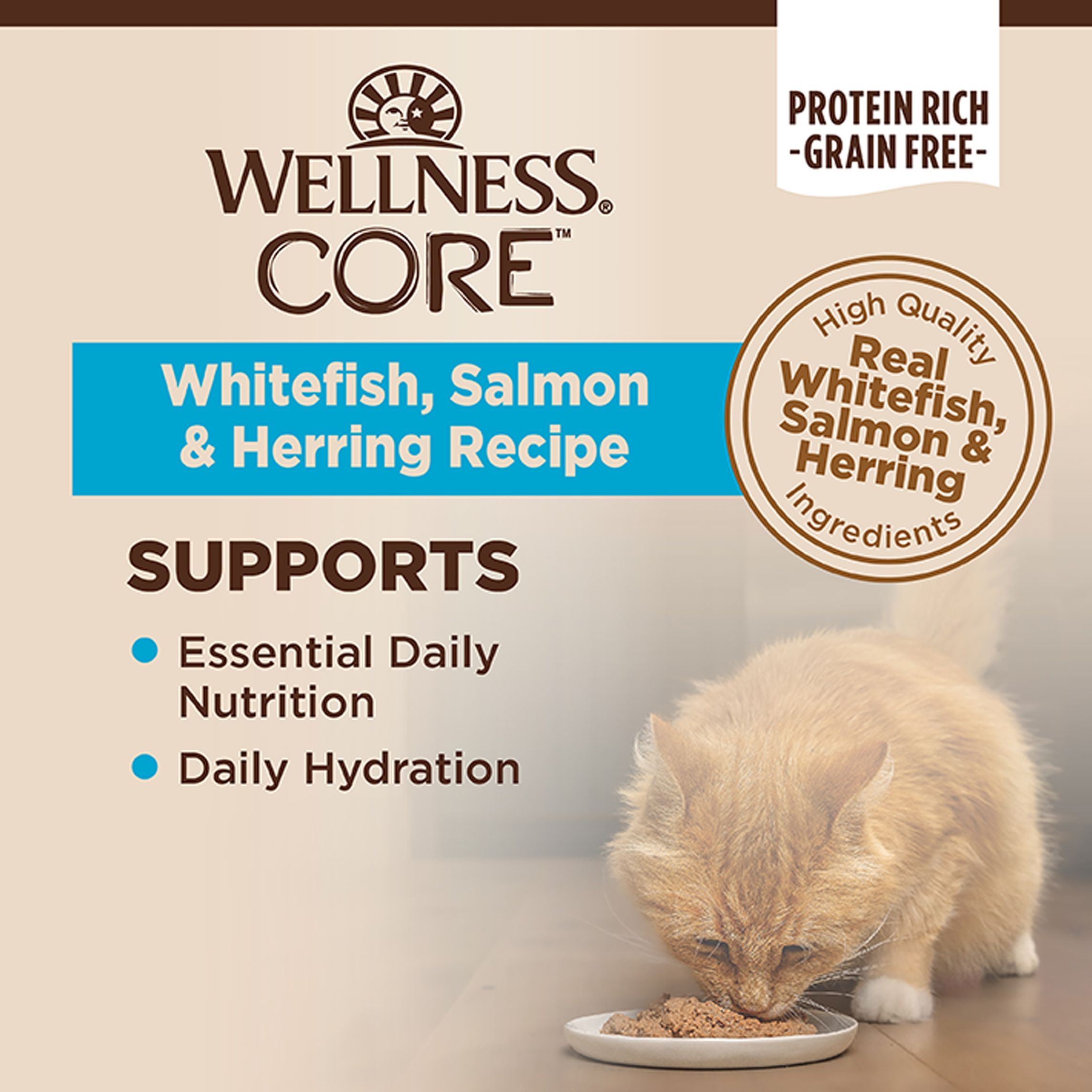 core wet cat food