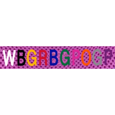 Coastal Pet Products Personalized Two-Tone Comfort Soft Wrap Small Dog Harness - Image 2