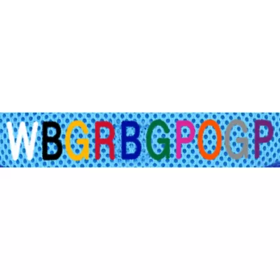 Coastal Pet Products Personalized Two-Tone Comfort Soft Wrap Small Dog Harness - Image 2