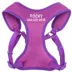 Coastal Pet Products Personalized Two-Tone Comfort Soft Wrap Small Dog Harness image thumbnail 1